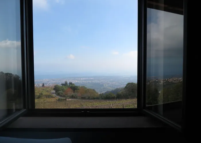 Le Del Merlo Hotel 3*