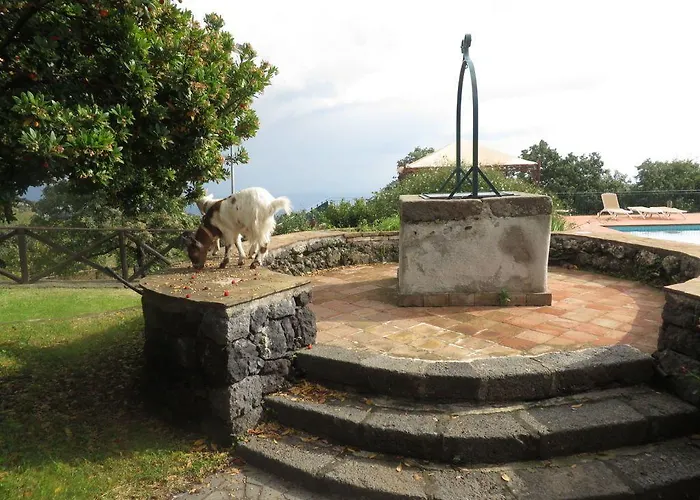 Le Del Merlo Hotel