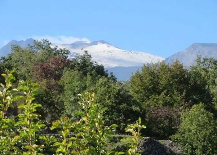 Le Del Merlo Hotel 3*