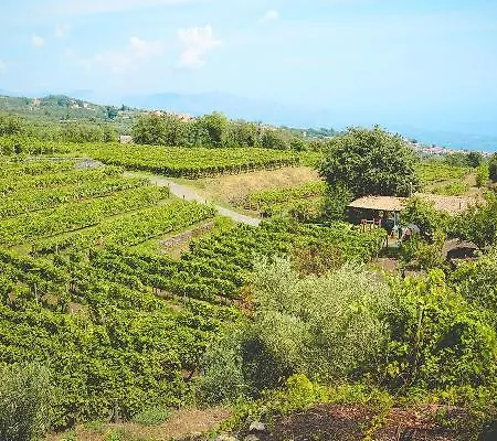 Hotel Le Del Merlo Milo