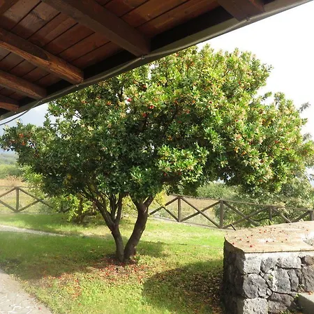 Hotel Le Del Merlo 3*
