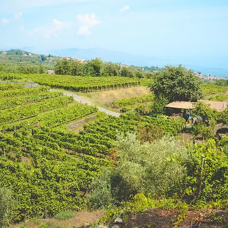 Le Del Merlo Hotel